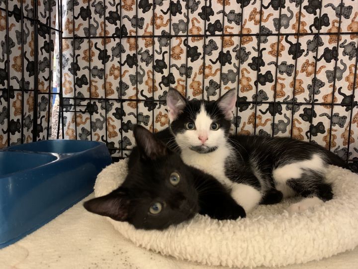 Murphy and Sam